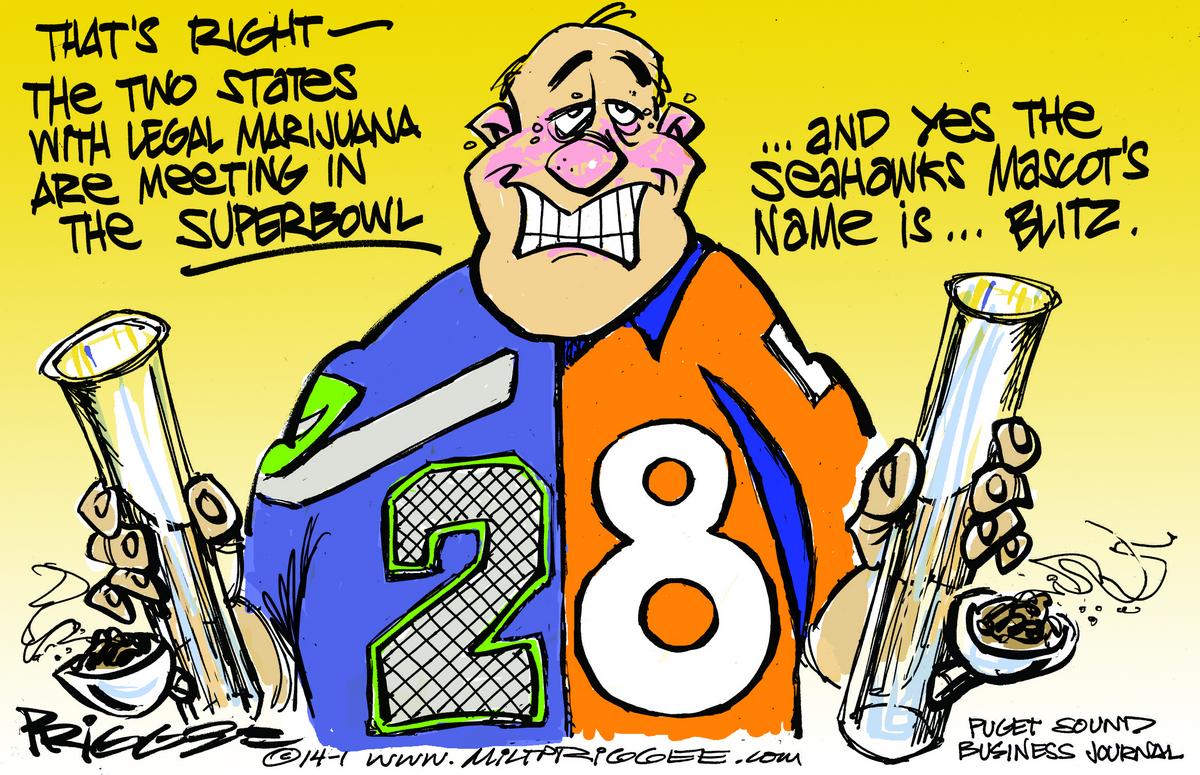 Stupor Bowl? Cartoonist's take on matchup between legal-pot states ...