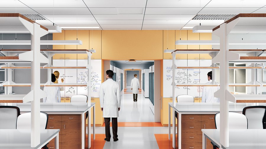 Buffalo Lab lab