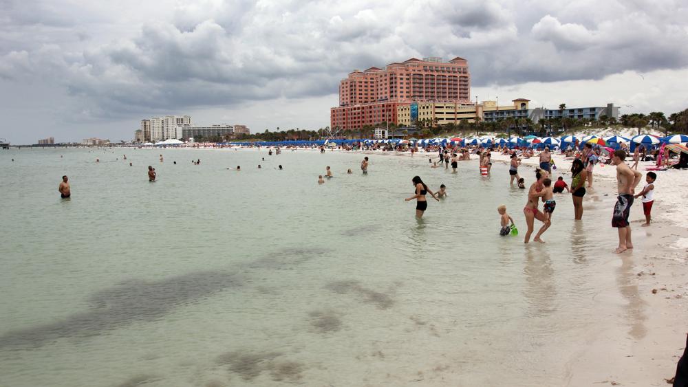 TripAdvisor list awash with Bay area beaches - Tampa Bay Business Journal