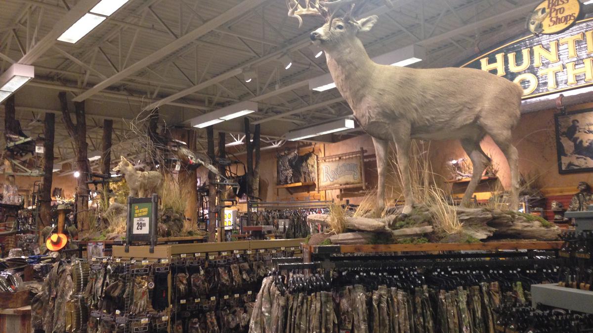 Is Bass Pro Shops fishing for funding? - St. Louis Business Journal