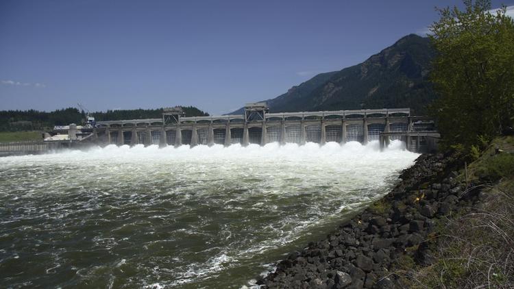 Columbia Riverkeeper, Army Corps settle suit over pollution from dams ...