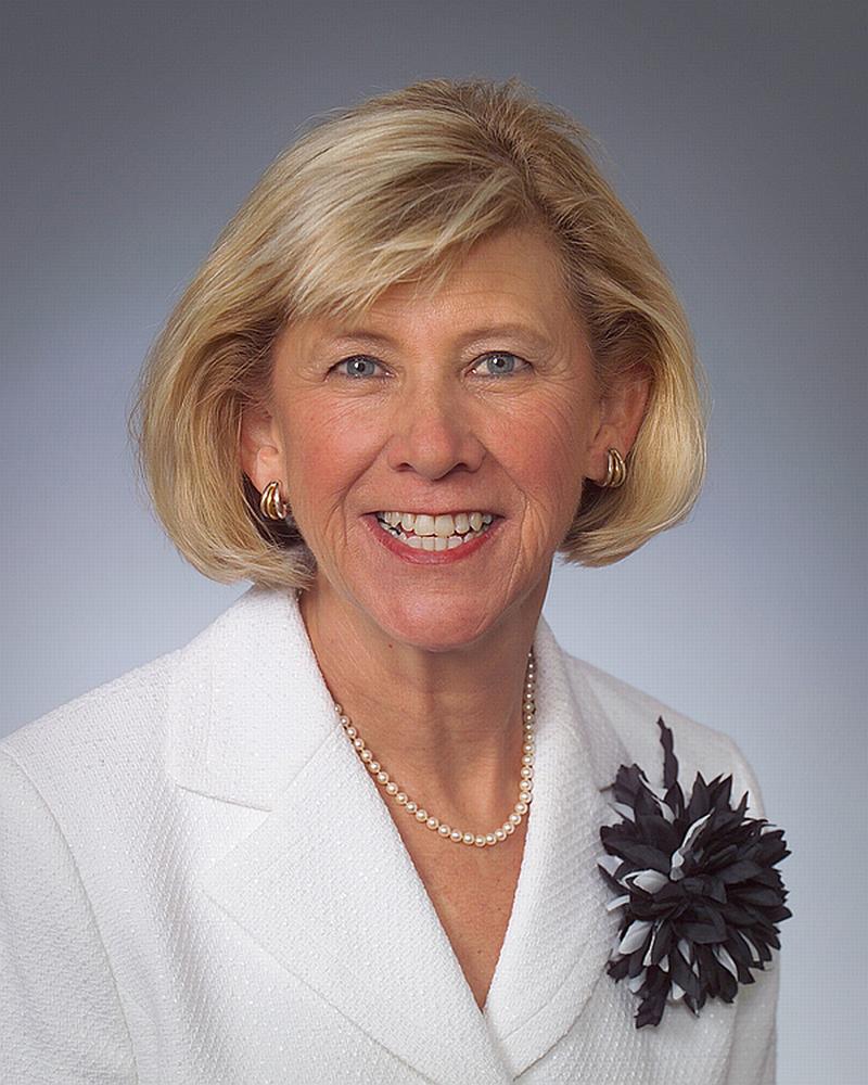 Houston's Bizwomen Mentoring Monday 2014 Class Bizwomen