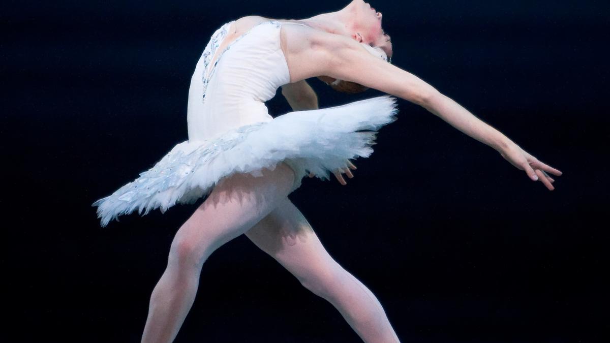 Ballet Austin unveils 2014-2015 season program - Austin Business Journal