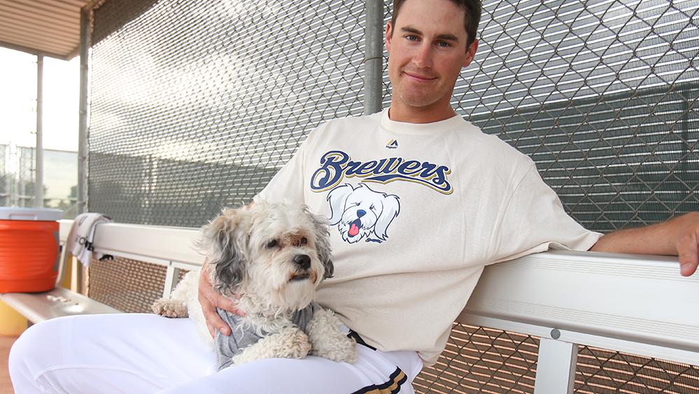 Brewers' Hank named Dog of the Year