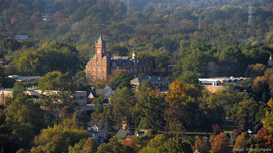 Charlotte tree ordinance update could impact development, canopy
