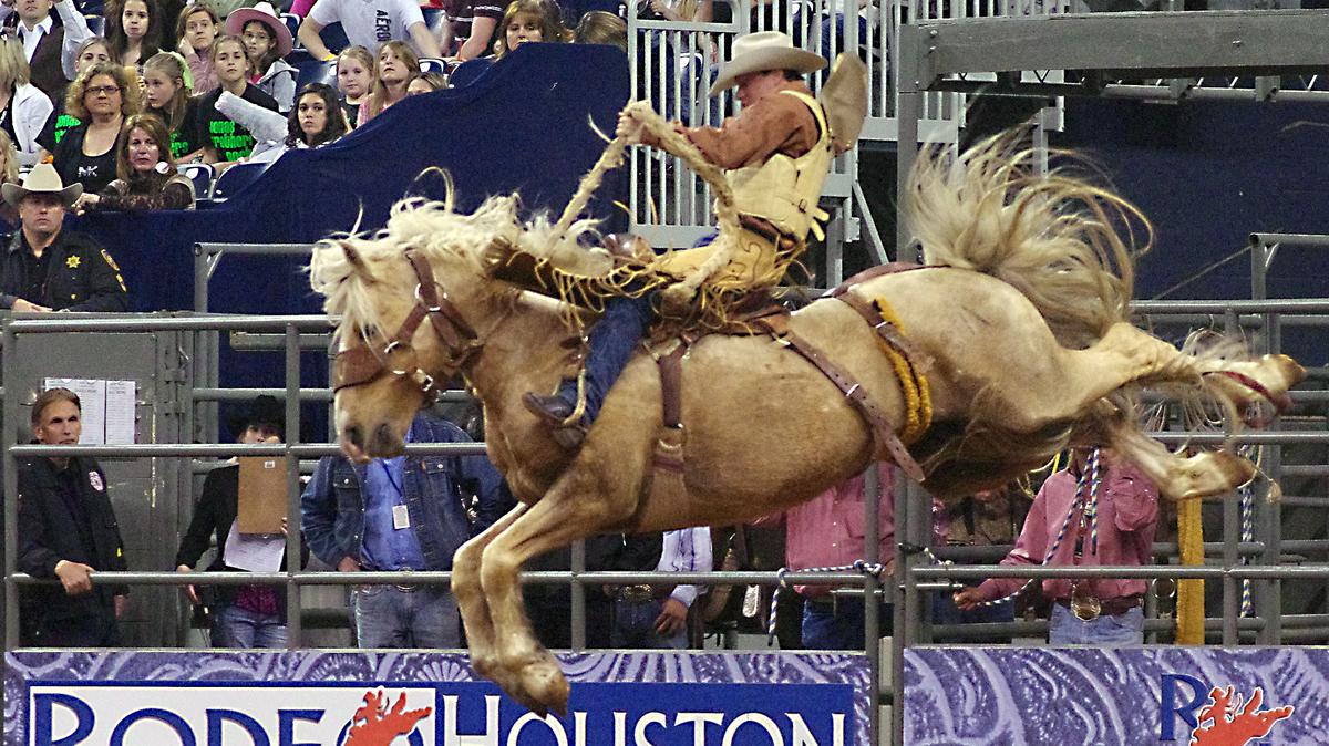 Rodeo Houston Releases Ticket Refund Donation Information Update Houston Business Journal