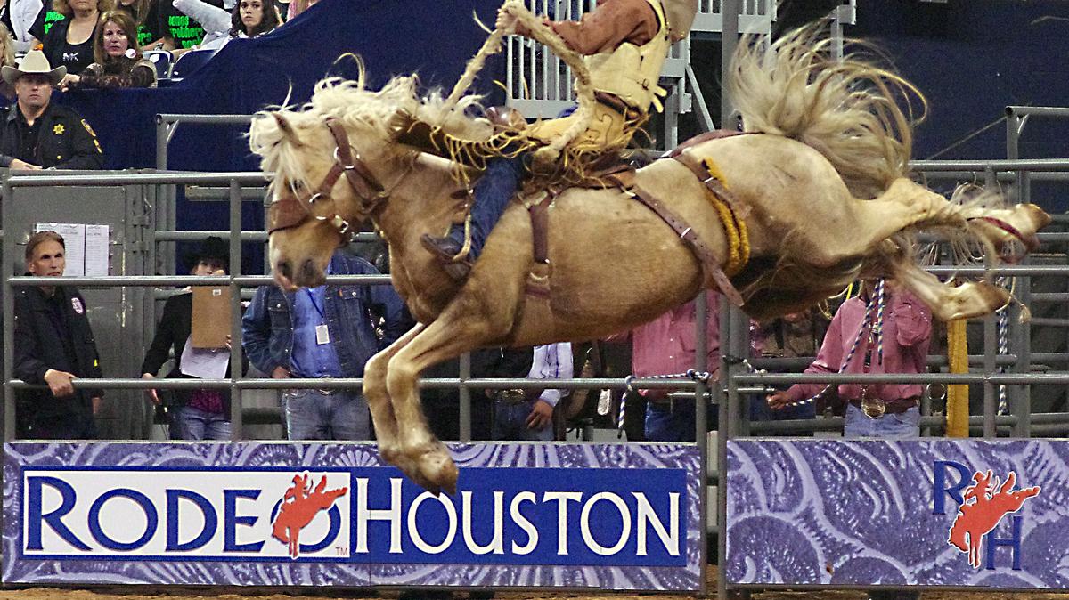 Houston Rodeo sues insurance co. to recoup Covid19 losses Houston