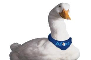 Aflac Says It Will Invest 250 Million In U S Thanks To Tax Reform Pacific Business News