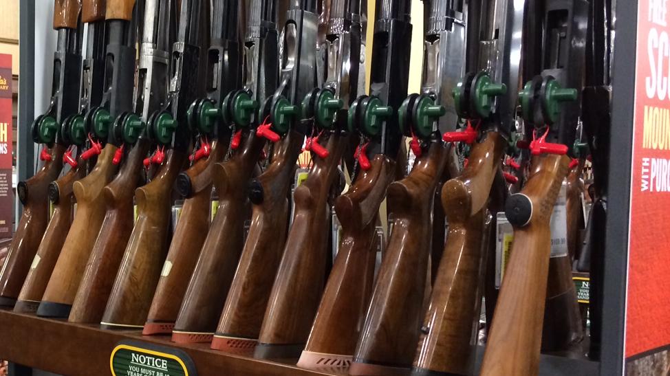 Safe Gun Storage Bill Passes Ny Assembly Buffalo Business First