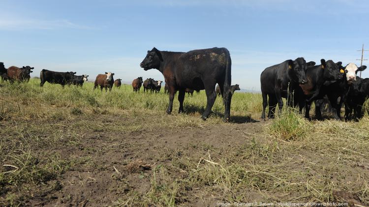 Midwestern BioAg focuses on soil technology and precision agriculture.