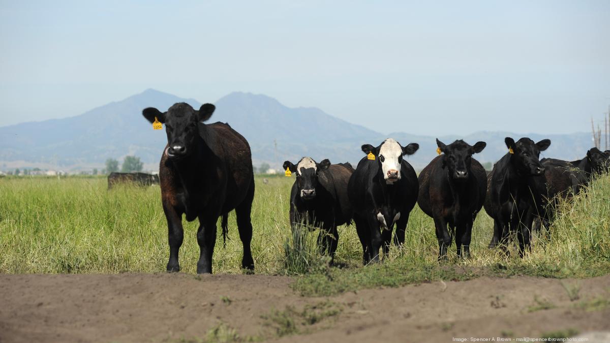 Some Bay Area water districts look to wind back conservation limits ...