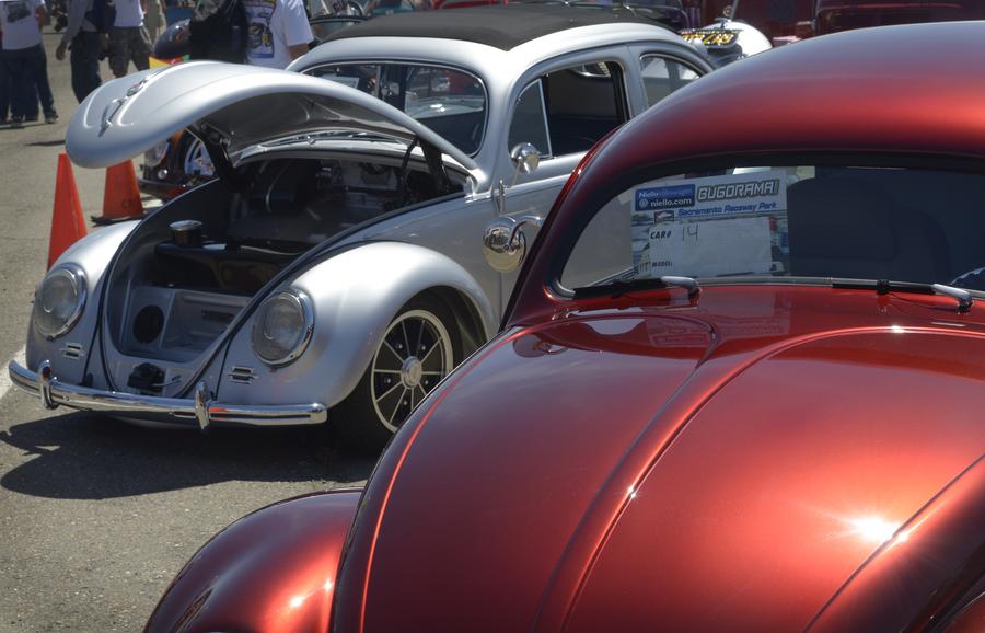 Celebrating the Volkswagen Beetle at the Bugorama Sacramento Business