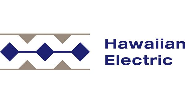 New Hawaiian Electric CEO has the right vision, energy industry experts ...