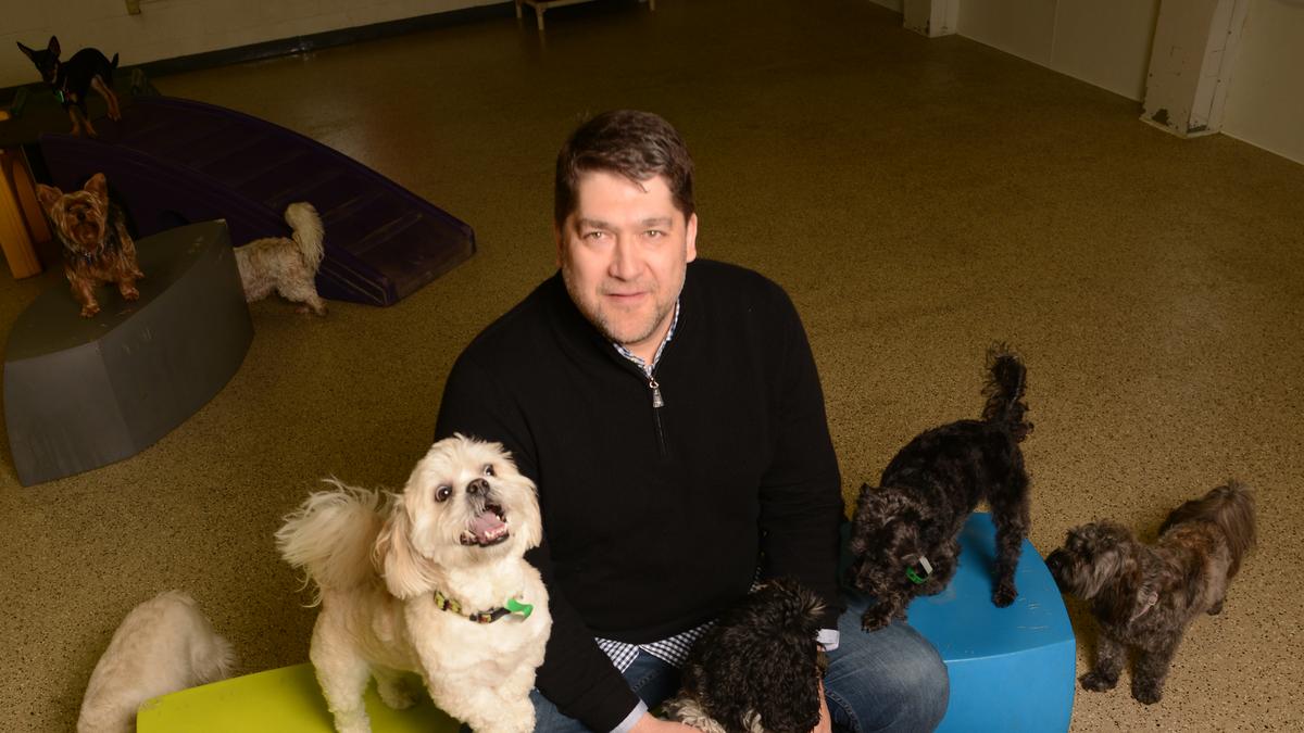 Adogo Pet Hotels place a paw near MSP Airport Minneapolis / St. Paul