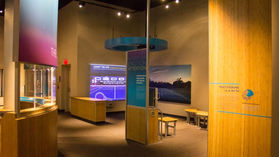 Franklin Institute brain exhibit opening in Philadelphia - Philadelphia ...