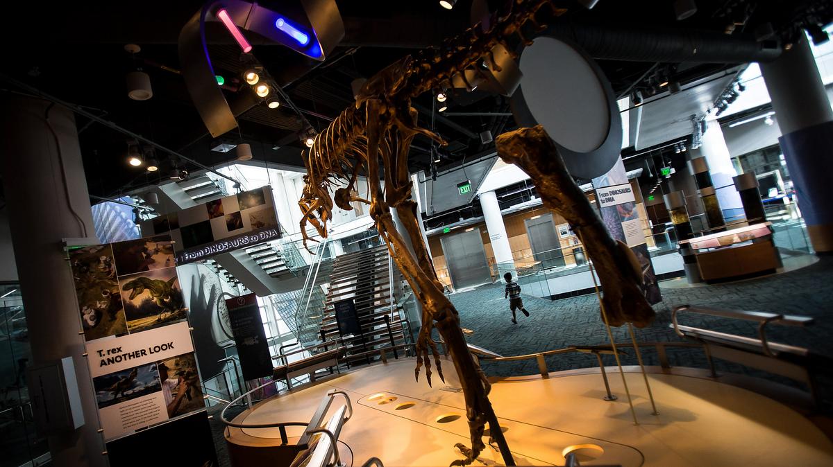 N.C. Museum of Natural Science takes the stage in global science ...