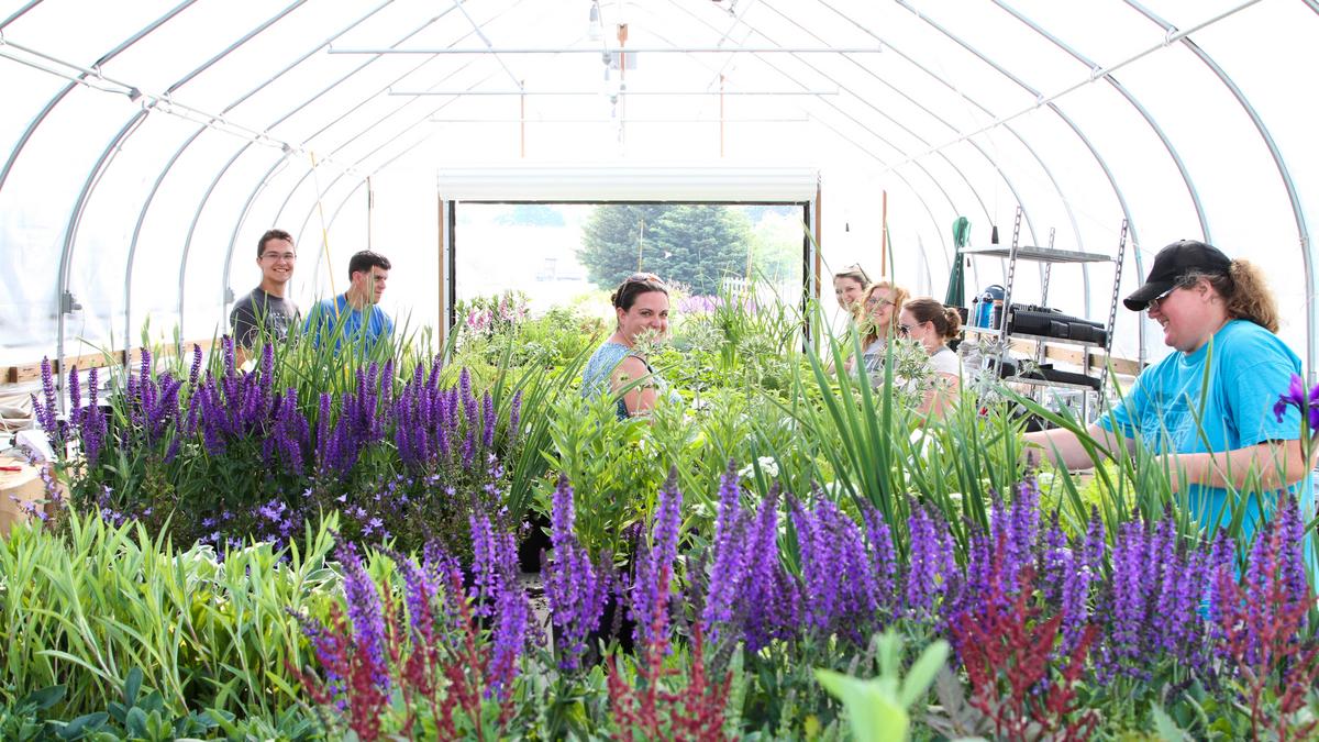 Cedar Creek Nursery opening location in Helena Birmingham Business