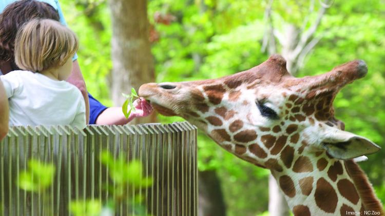 North Carolina Zoo Awarded Top Honors For International