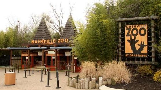 Nashville Zoo announces new exhibits as part of expansion - Nashville ...