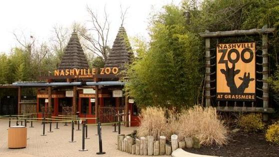 Nashville Zoo announces new exhibits as part of expansion - Nashville