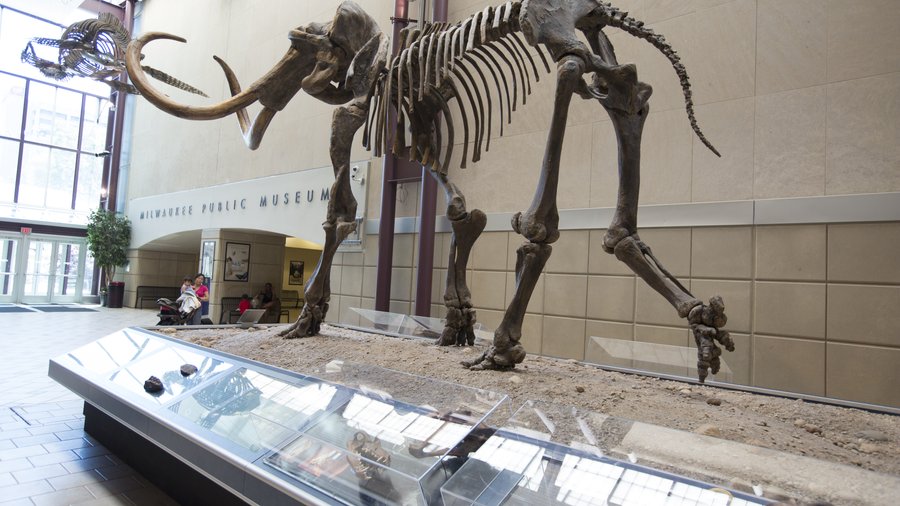 Milwaukee Public Museum expands hours of operation Milwaukee Business