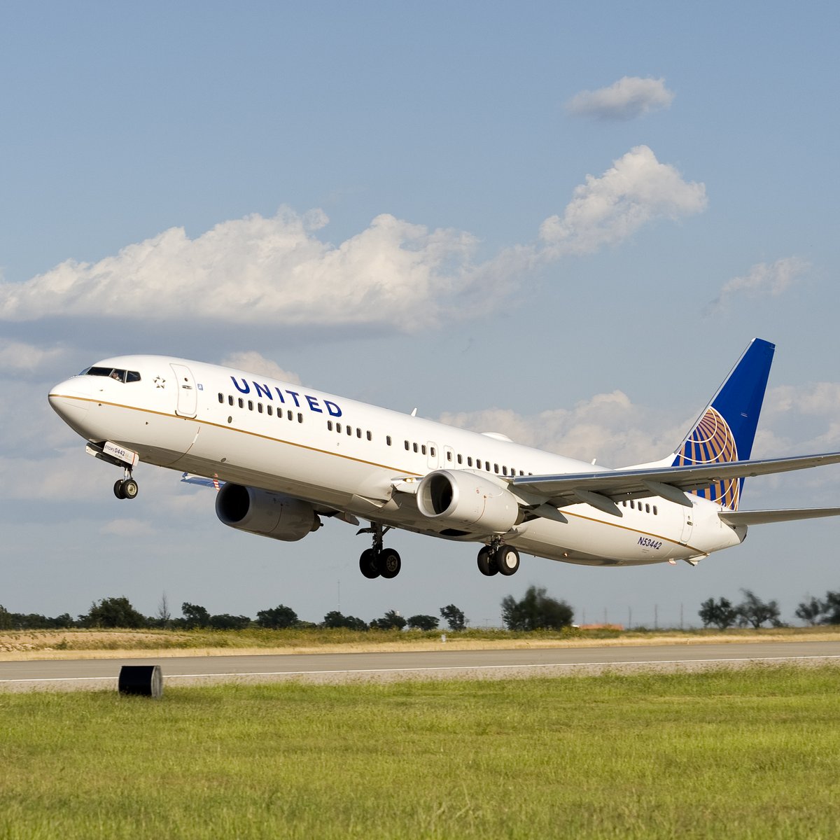 United Airlines settles with family over dog who died in overhead bin