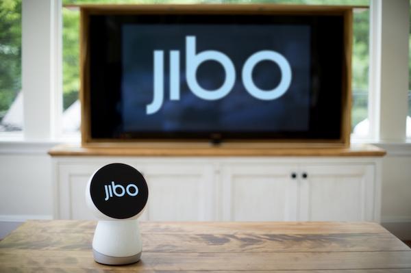 jibo out of business
