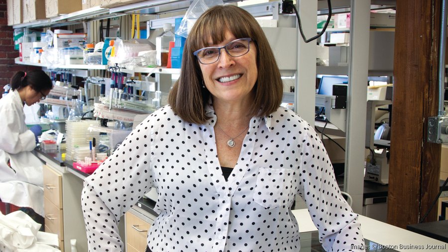 Third Rock Ventures And Former Eleven Biotherapeutics CEO Launch 