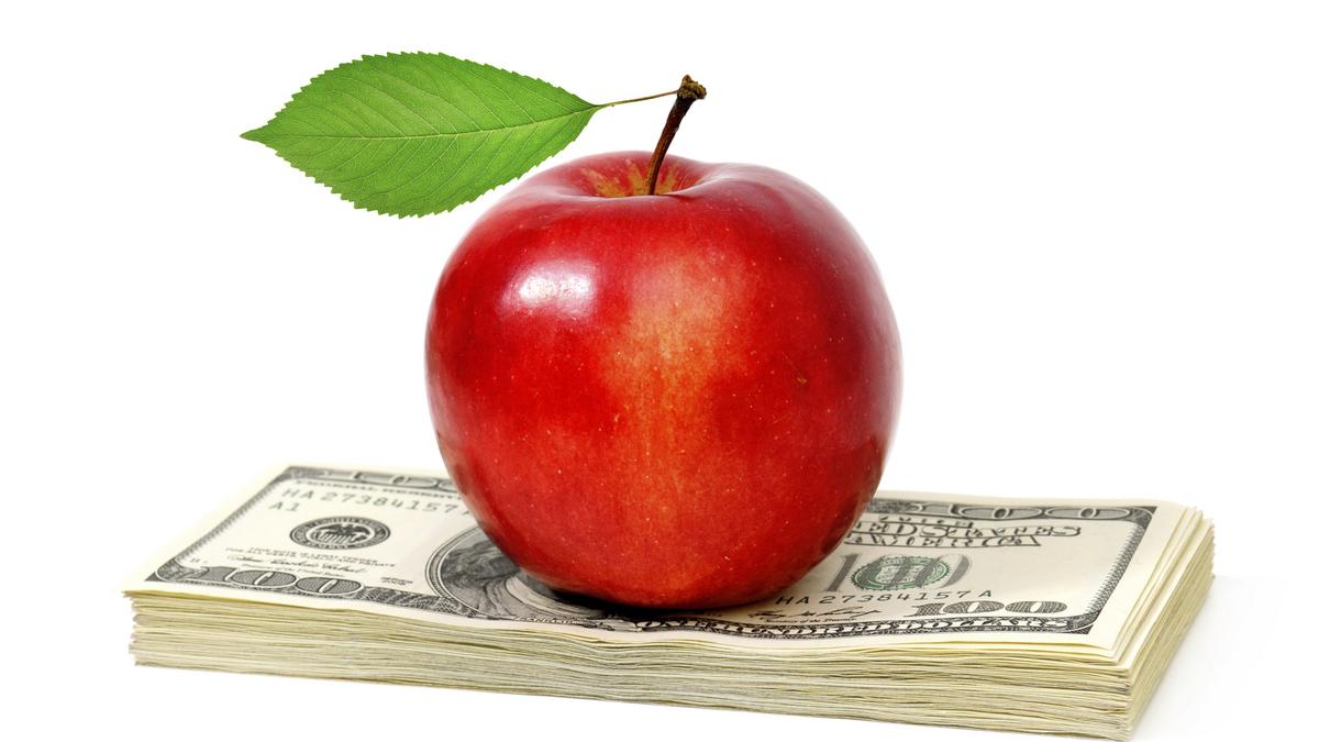 Fruit Money Fruit Money