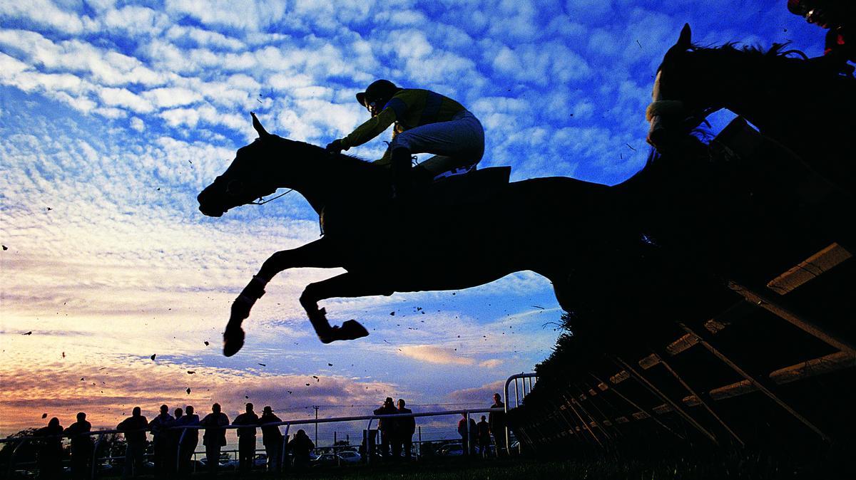 Steeplechase returns to Kingston Downs in new form Atlanta Business