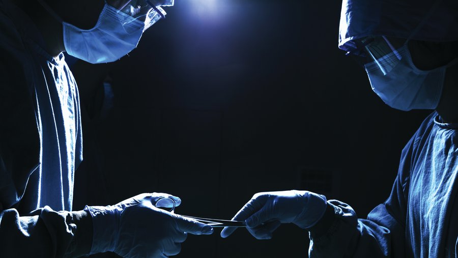 Elon University launches human anatomical gift program Triad Business