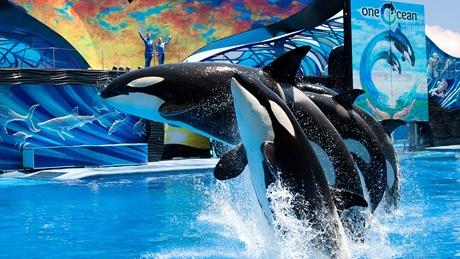 SeaWorld Legoland announce theme park closures due to coronavirus