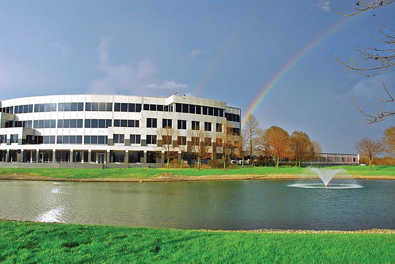 pic-vorarainbow.jpg