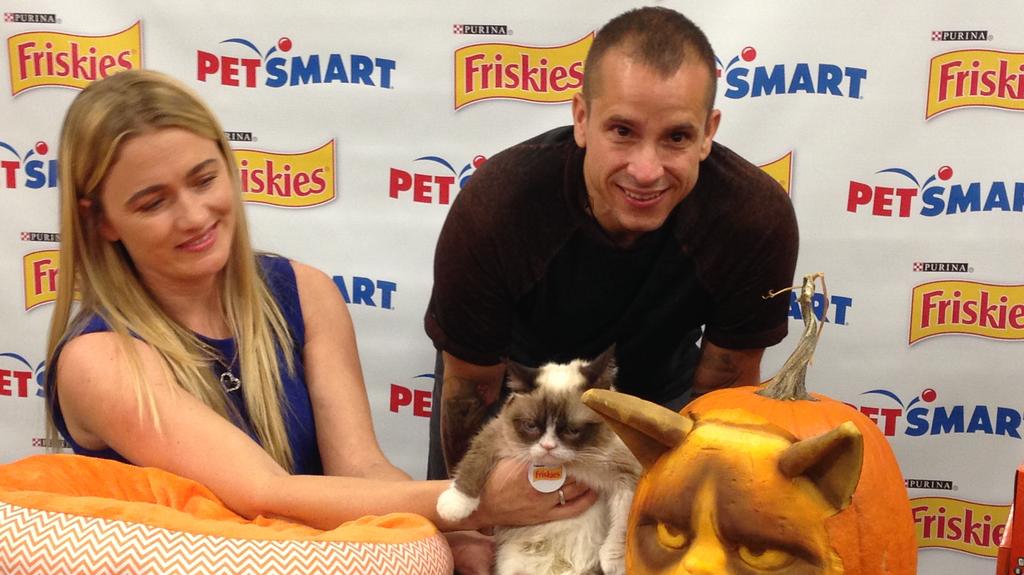 grumpy cat toys petsmart