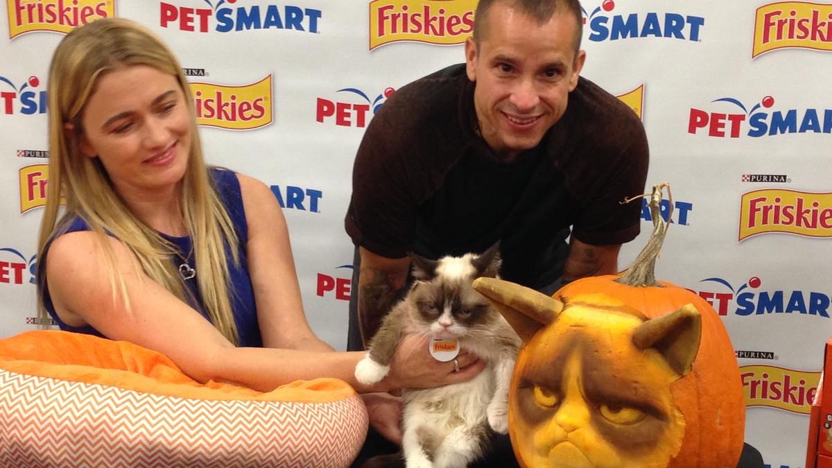 Pet Celebrities: How Grumpy Cat Became a Household Name - ABC News