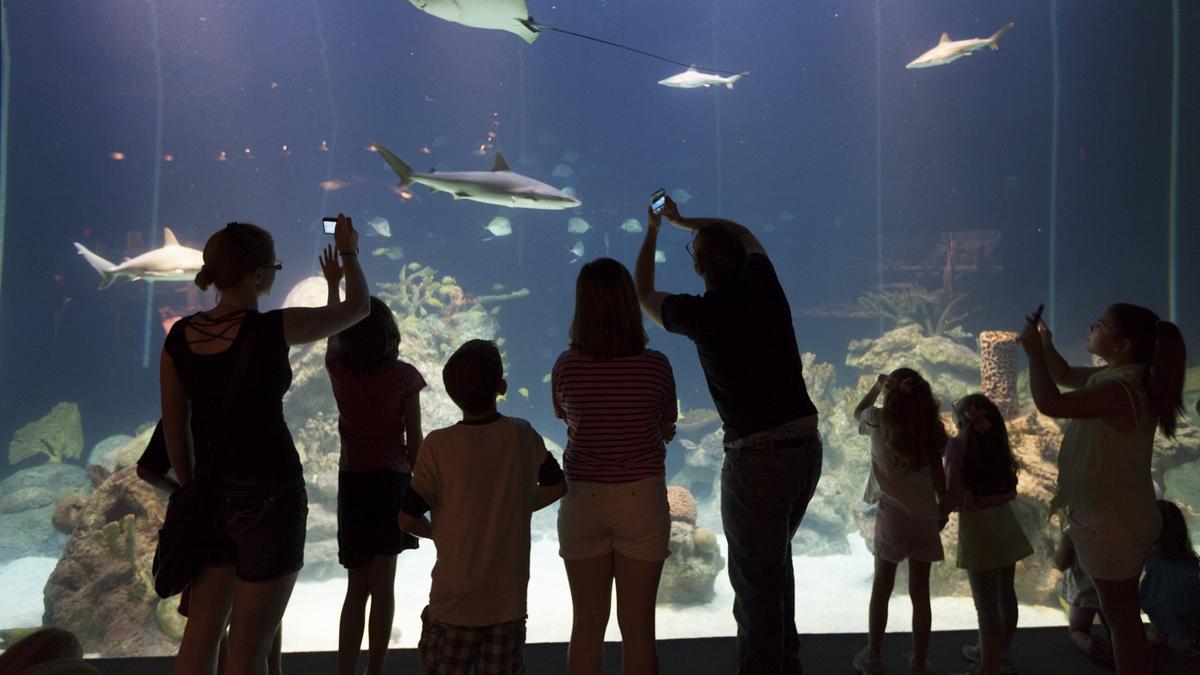 Greensboro Science Center sees record-breaking year for attendance ...