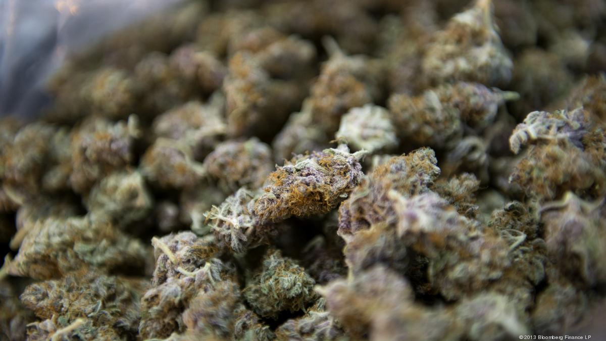 Here all the companies pre-approved to sell medical marijuana in Maryland - Baltimore Business Journal