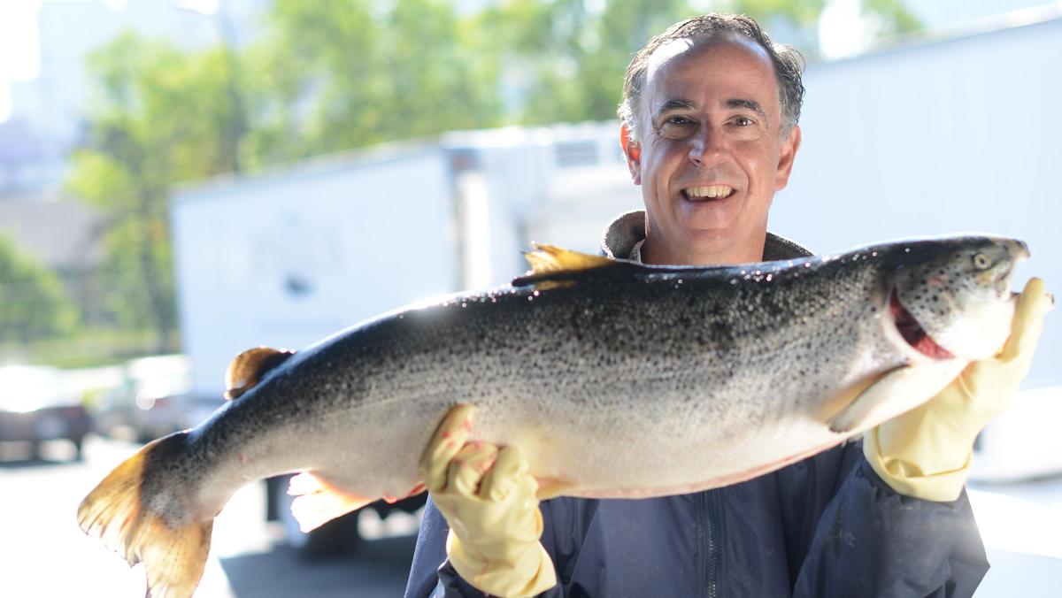 St. Louis Parkbased The Fish Guys launch a wholesale meat division