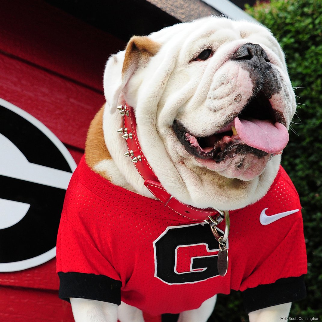 cbs georgia bulldogs