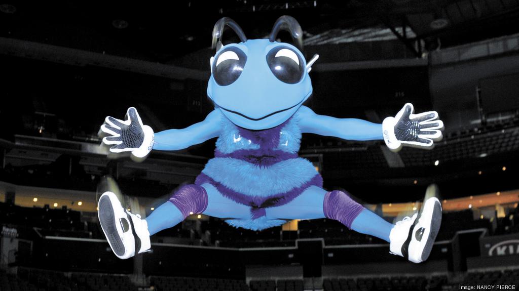 POLL: Do The Charlotte Hornets Have to Have Hugo & The Honeybees?