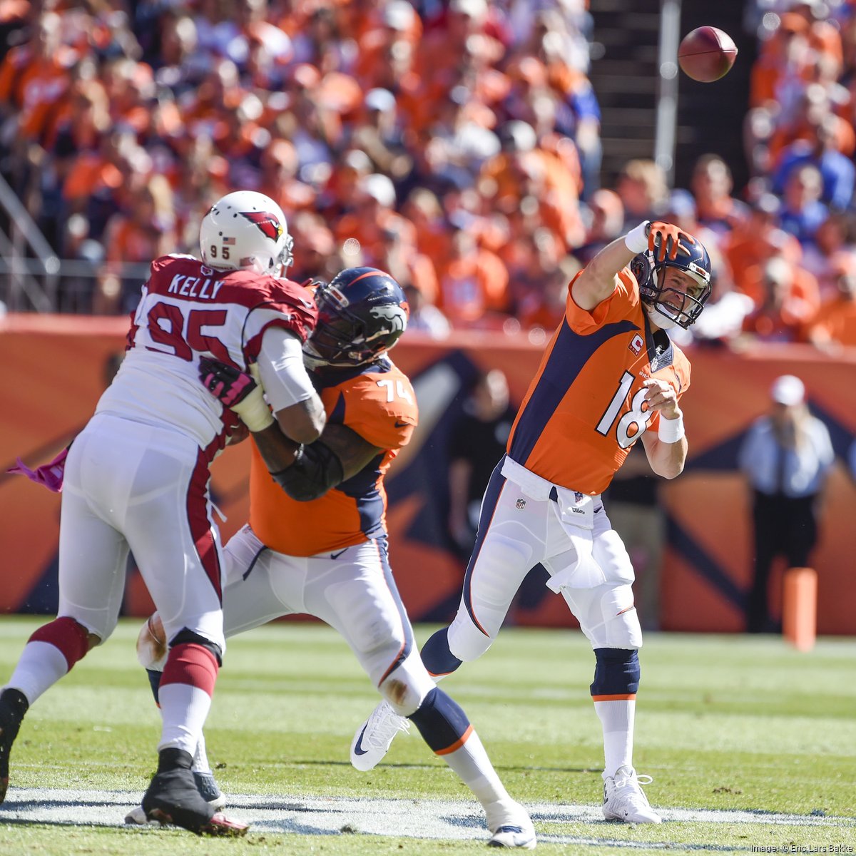 Denver Broncos AFC West Champions 2015 Gear & Apparel