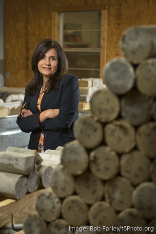 Deepa Bhate Building & Earth Sciences