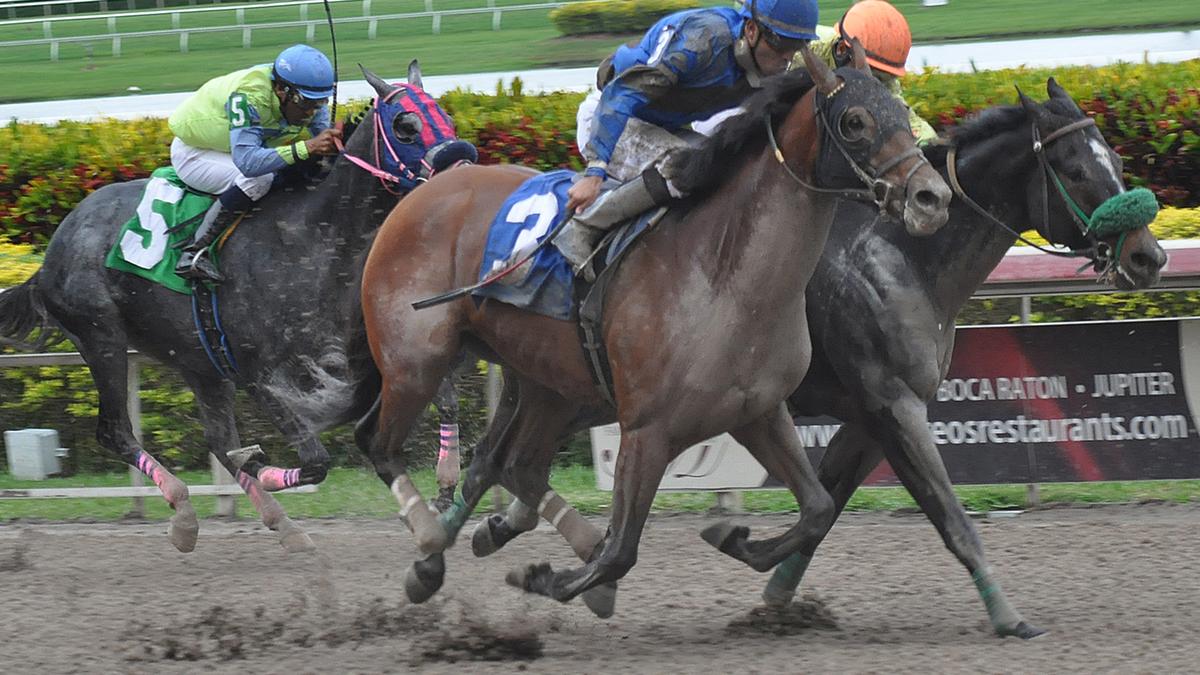 Belinda Stronach buys Surfside condo at Seaway at the Surf Club South Florida Business Journal