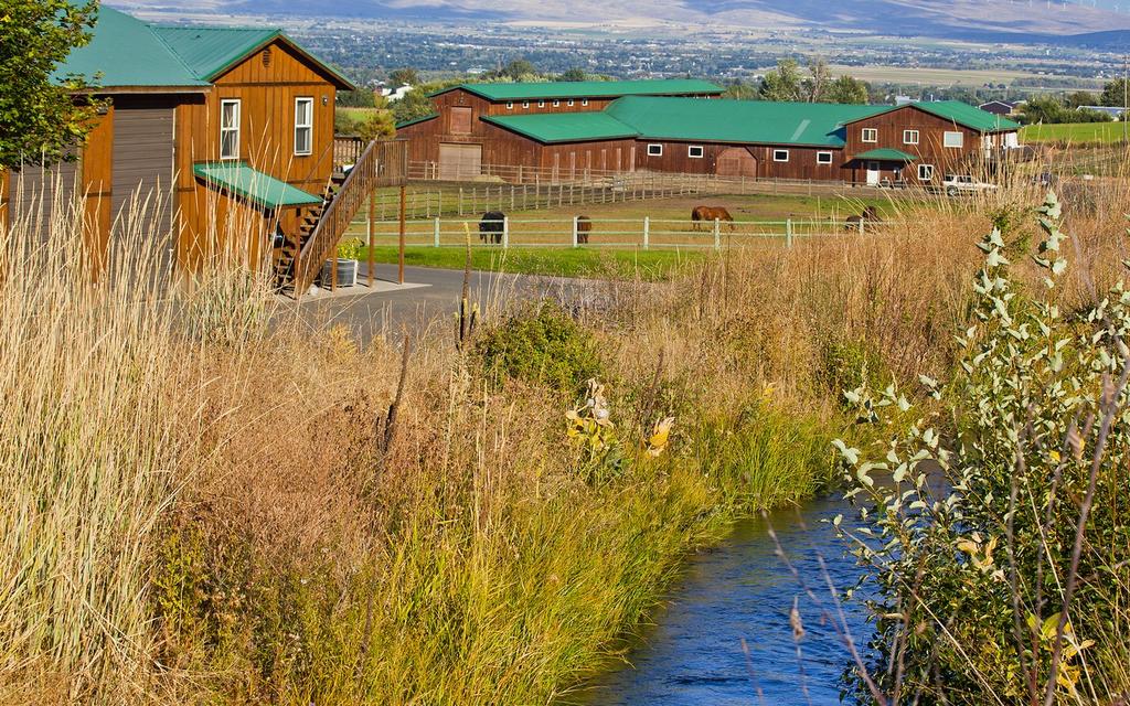 WorldClass Contemporary Northwest Designed Equine Ranch on 155 Acres