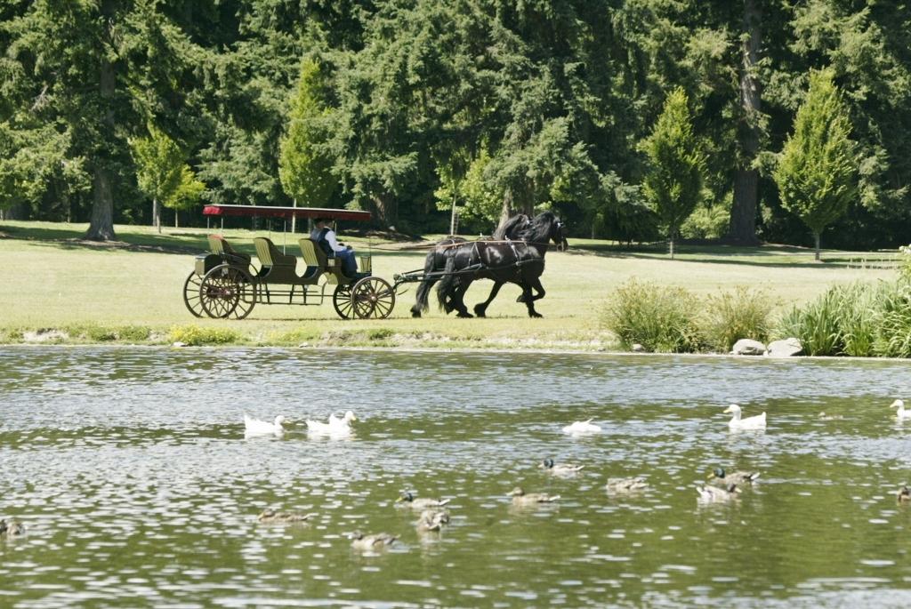 Grand Equestrian Estate on Vashon Island Introducing Misty Isle Farms