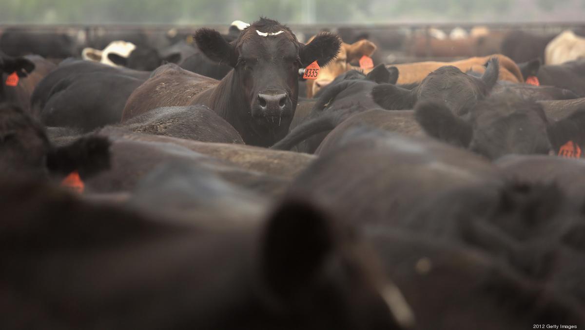 JBS to sell assets of Coloradobased Five Rivers, world’s largest