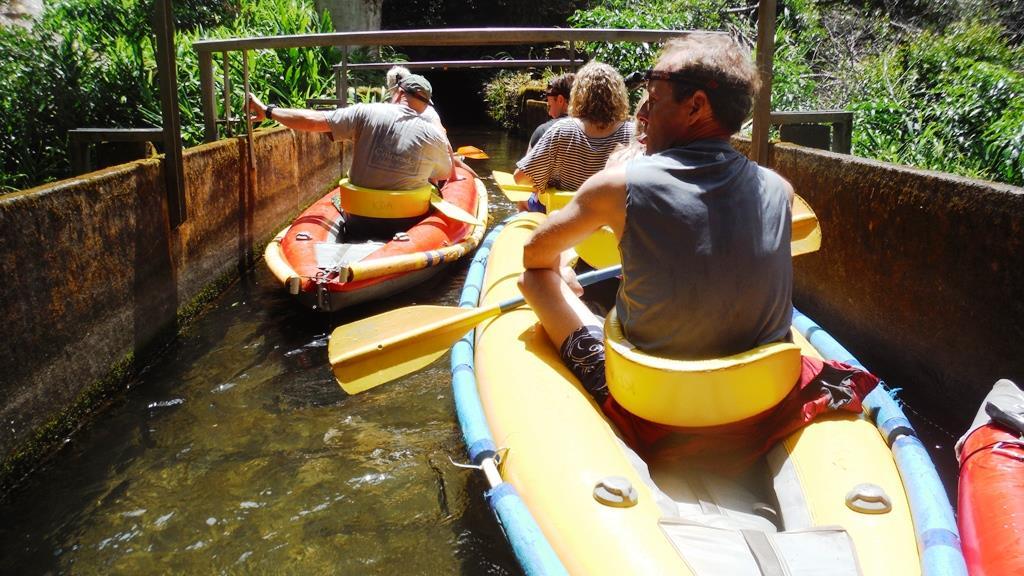 Kohala Ditch Adventures closes - Pacific Business News