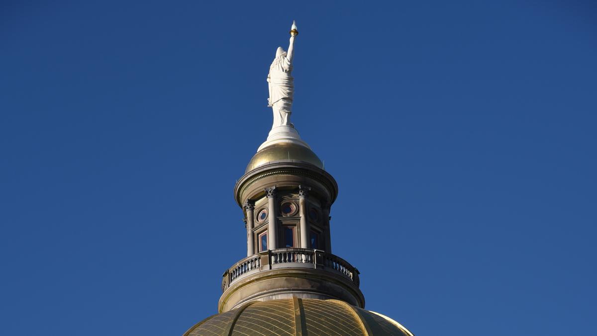 Metro Atlanta Democrats score major gains in General Assembly Atlanta