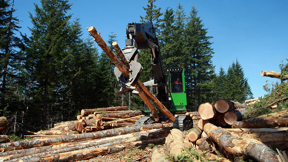Stimson Lumber lays off 60 employees Portland Business Journal