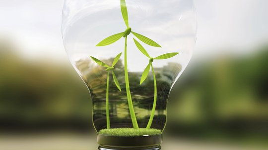 Sustainability ThinkStock